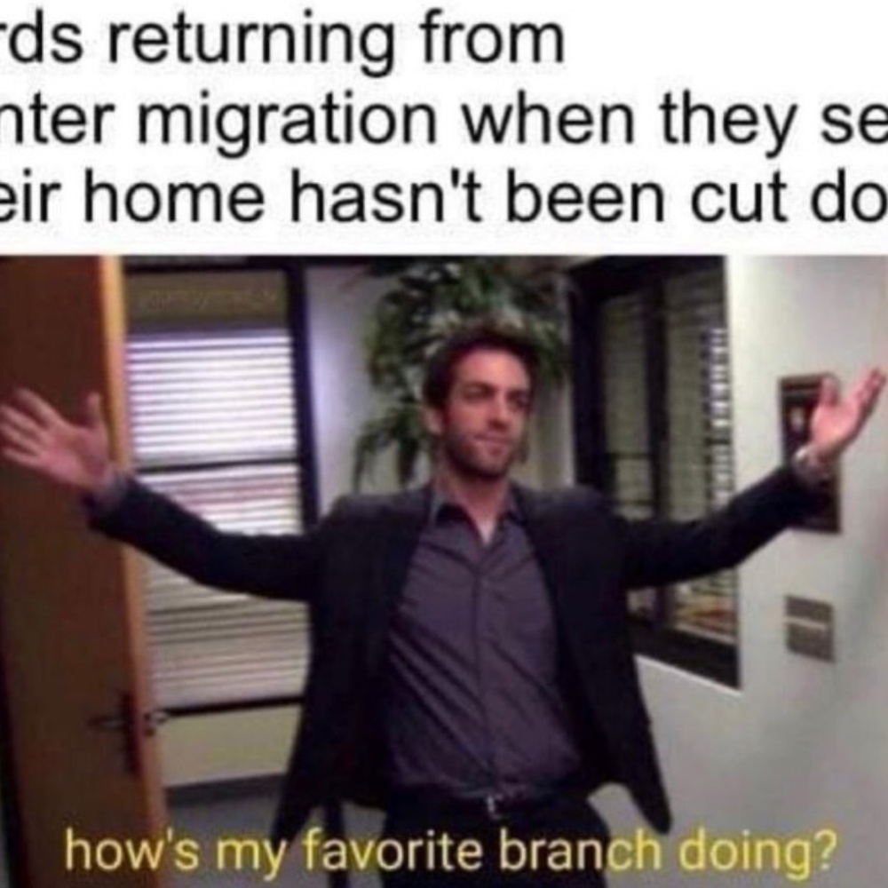 Meet your Posher, Nadav